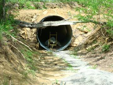 05 Tunnel